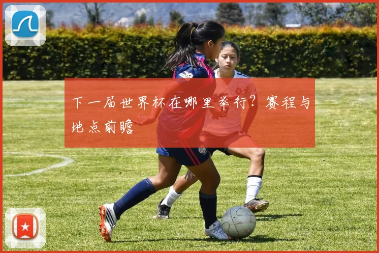 下一届世界杯在哪里举行?赛程与地点前瞻