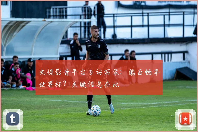 央视影音平台专访实录:能否畅享世界杯?关键信息在此