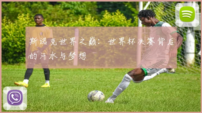 斯诺克世界之巅:世界杯决赛背后的汗水与梦想